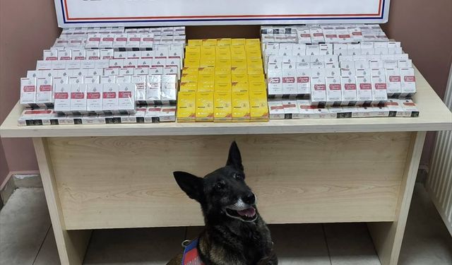 Kayseri’de Tırdan 630 Paket Kaçak Sigara Çıktı