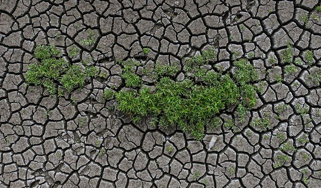 Toprak ile su kaybı, geleceği tehdit ediyor
