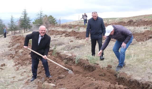 Yozgat'ta 1500 Çam Fidanı