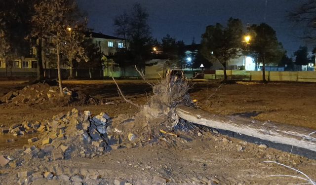 Bursa'da kuvvetli rüzgar nedeniyle ağaç devrildi