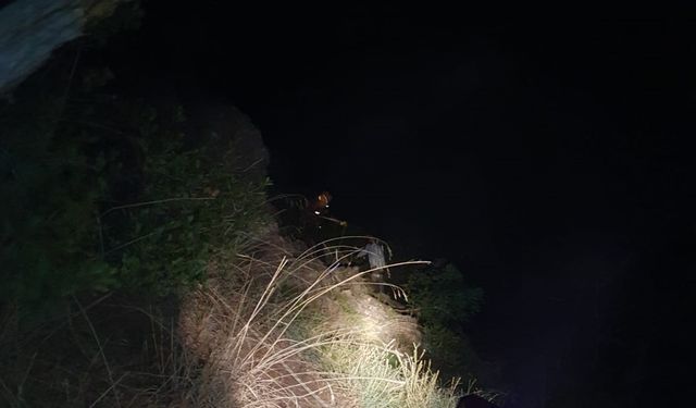 Bursa’da Ormanda Mahsur Kalan Adam Kurtarıldı