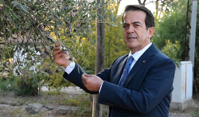 Dünyanın en sağlıklı zeytinyağısı Antalya'da!