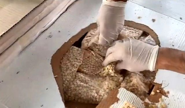 Gümrük Kapılarında Uyuşturucu Rekoru