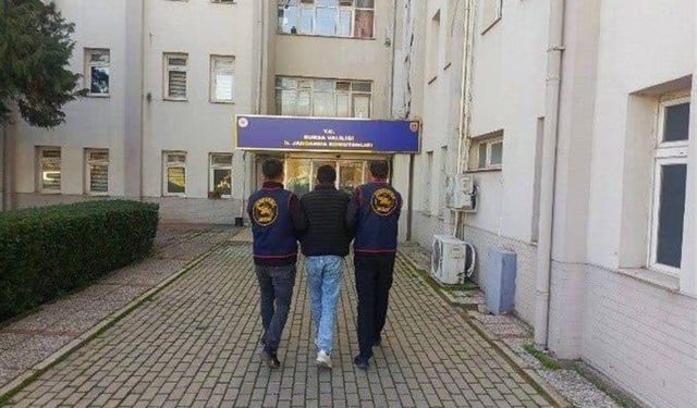 Mudanya’da 1,2 Milyonluk Tiny House Hırsızlığı