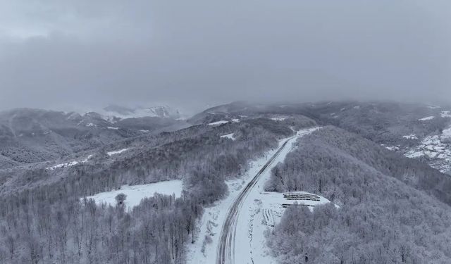 Samsun'da kar yağışı