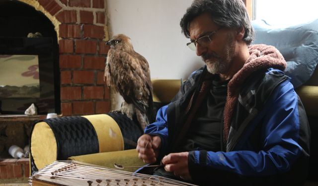 Tedavi edip doğaya bırakmıştı, geri döndü!