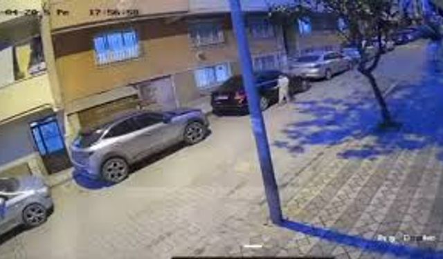 Çocuk park halindeki araçları çizdi!