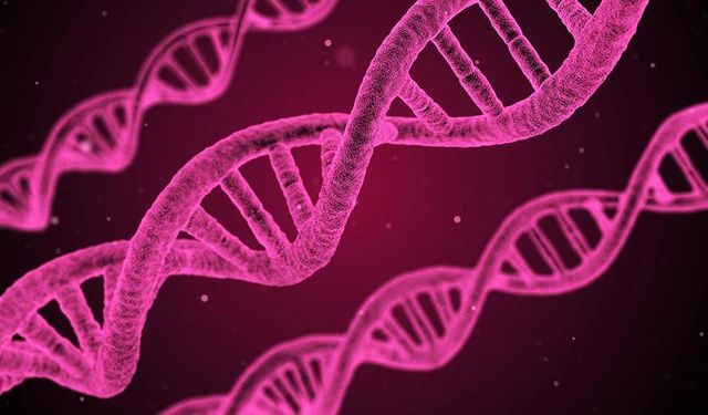 DNA Hasarı ve Erken Yaşlanma Arasındaki Şaşırtıcı Bağlantı