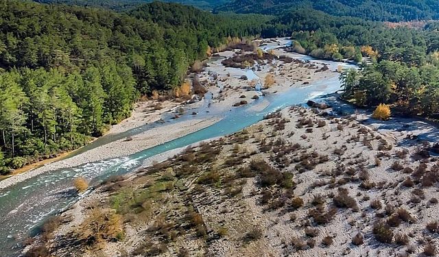 MAHKEME KARARINI VERDİ VE DOĞA KAZANDI