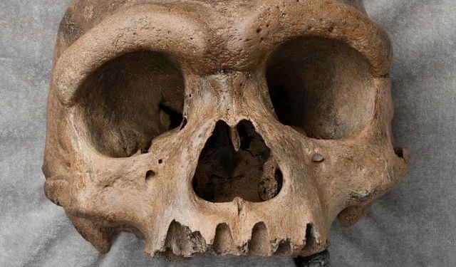 “Ejderha Adam” İnsan Evriminin Sırrını Aydınlattı