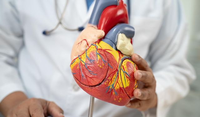 Yüksek Kolesterol Ömrü mü Uzatıyor?