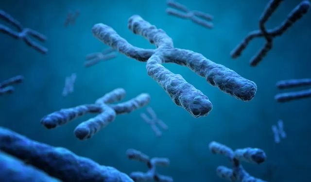 Y Kromozomu Yok Oluyor mu? "Erkekler Bitecek" İddiasına Uzmandan Net Cevap!