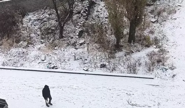 Kars'a mevsimin ilk karı düştü