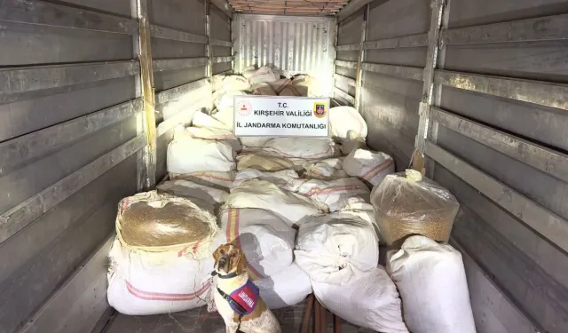 Kırşehir'de kaçak tütün operasyonu