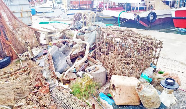 Su Ürünleri Dalgıçlarından Kota ve Destek Tepkisi