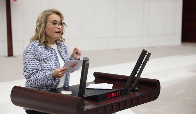 “Bu bütçe 86 milyonun değil, rant düzeninin bütçesidir”