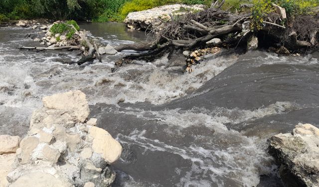 Nilüfer Çayı Alarm Veriyor, Tehlike Marmara’ya Taşınıyor!