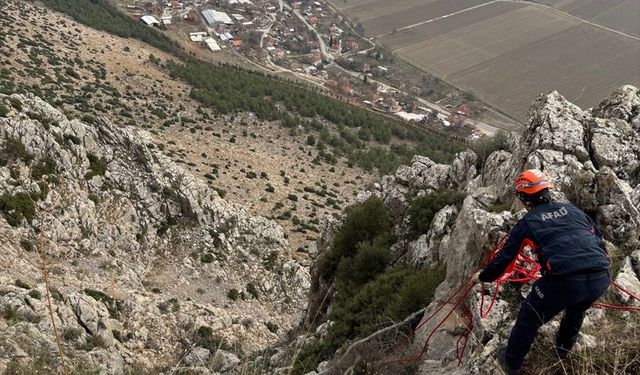 Dağda mahsur kalan keçiyi AFAD kurtardı