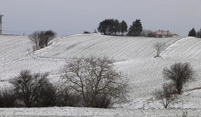 Trakya'da kar yağışı tarımı etkiledi