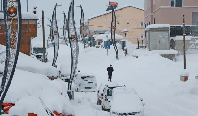 219 köy yolu ulaşıma kapandı