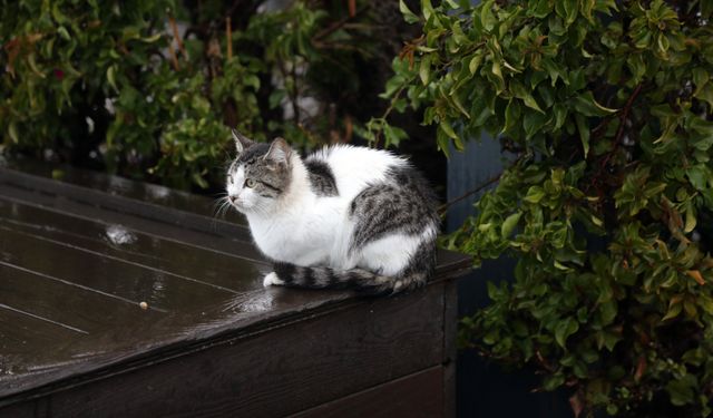Antalya’da Sağanak Hayatı Felç Etti