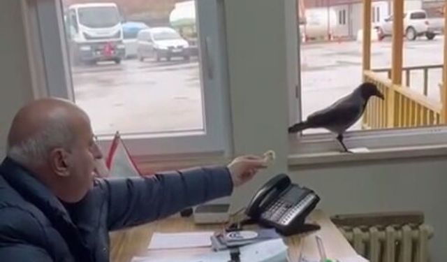 Başkan Erdem, odasına giren kargayı besledi
