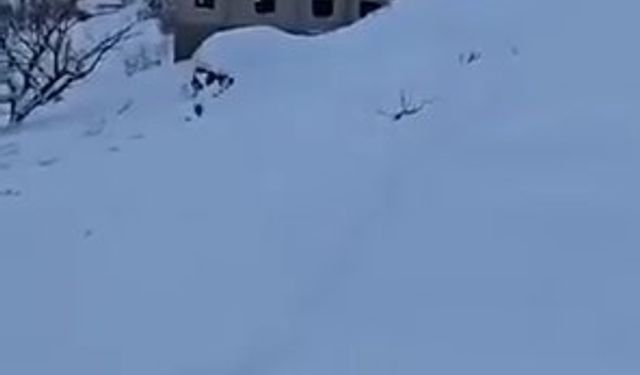 Beytüşşebap’ta Çığ Paniği: Ev Kar Altında Kaldı, 5 Kişi Kurtarıldı