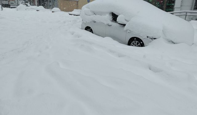 Bolu'da yoğun kar yağışı sürüyor