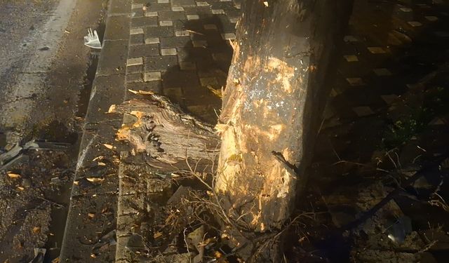 Bursa'da korkutan kaza