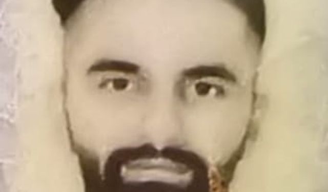 Bursa'da talaş yüklü TIR devrildi: 1 ölü