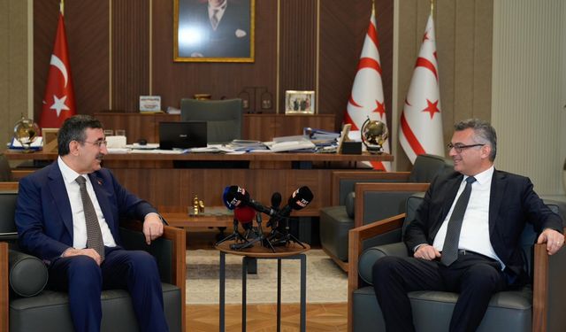 Cumhurbaşkanı Yardımcısı, KKTC Cumhurbaşkanı Erhürman ile görüştü