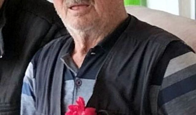 Edirne'de otomobil yayaya çarptı