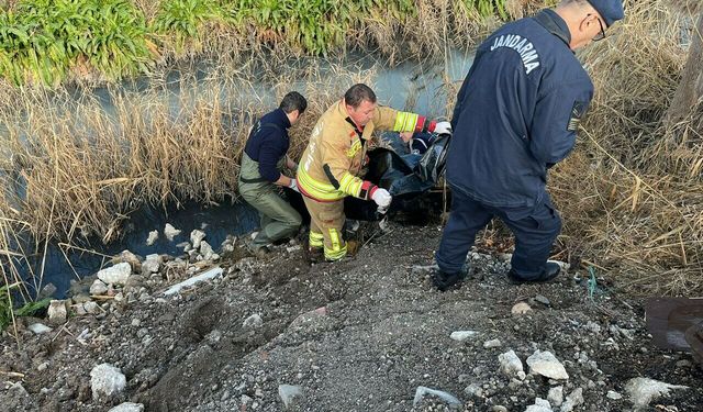 Kayıp olarak aranırken dere yatağında cesedi bulundu