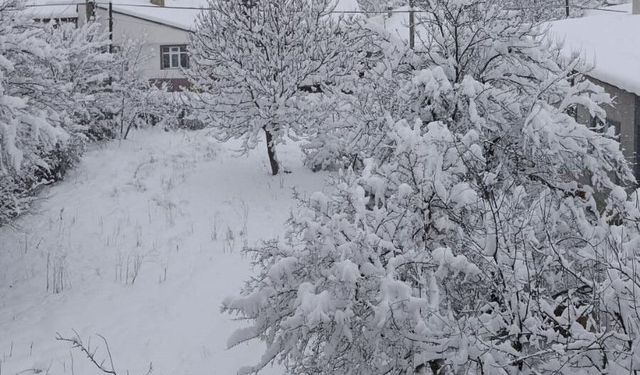 Samsun'da kar yağışı ulaşımı aksattı