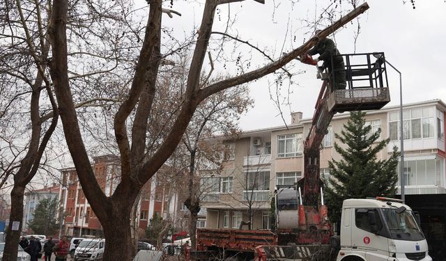 Keçiören’de Park ve Yeşil Alanlara Kış Bakımı Sürüyor