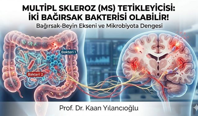 Multipl Sklerozun Tetikleyicisi Bağırsakta mı?