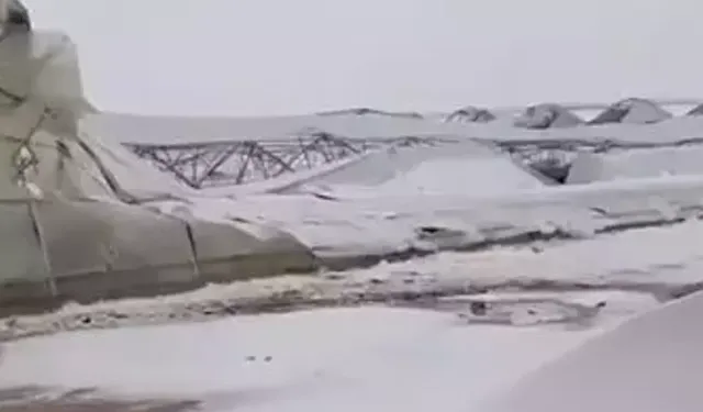 Mardin'de ahır çöktü: 10 koyun öldü