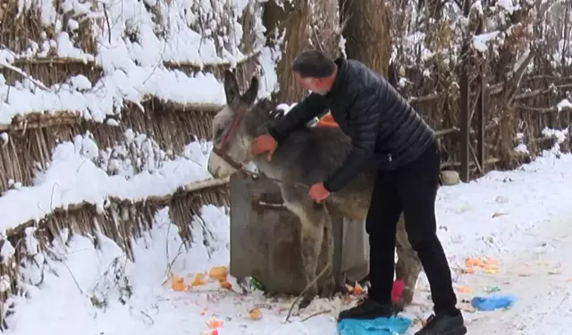 Muş’ta Sahipsiz Hayvanlara Merhamet Eli: Besiciye 1,5 Ton Yem Desteği