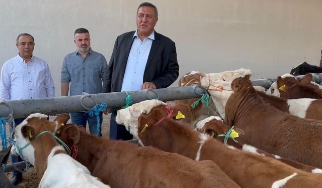 GÜRER İSYAN ETTİ: İCRALIK ÇİFTÇİ, BESİCİ NASIL AYAKTA KALACAK?