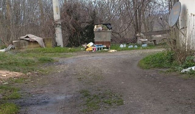 Sakarya Hendek’te Çöp Tepkisi: Değirmen Dere Sokak Unutuldu mu?