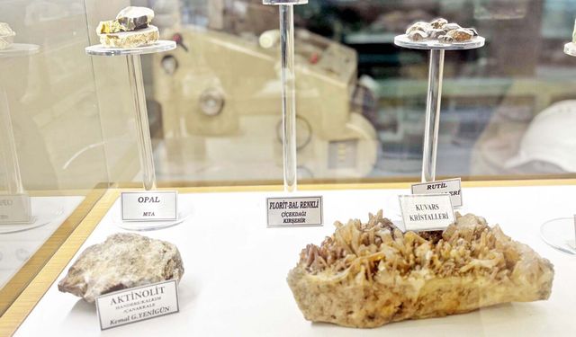 “Türkiye Nadir Toprak elementlerinde Eşik Noktasında”