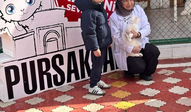 Miniklerden Ankara Kedilerine Sevgi Dolu Ziyaret