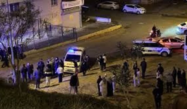 Adana’da Feci Kaza: Kamyonet Dereye Uçtu, Sürücü Hayatını Kaybetti