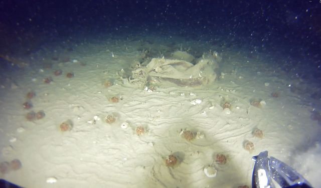 51 Yıllık Kayıpta Yeni Parçalar Bulundu