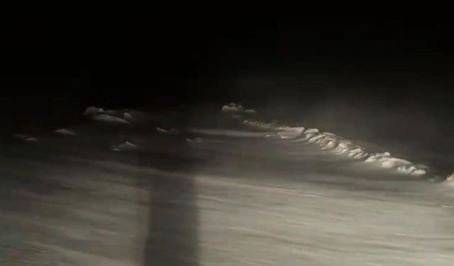 Ardahan’da Tipide Mahsur Kalanlar Kurtarıldı