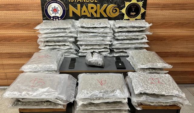 Avcılar’da 48 kilo skunk ele geçirildi: 2 gözaltı