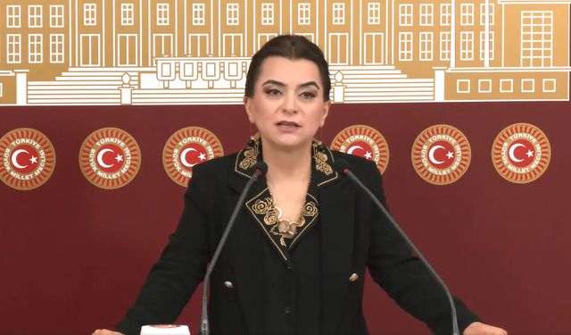 "Barış yasaları ivedilikle çıkmalı"