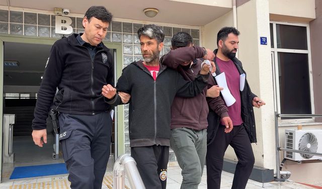 Buzağı hırsızlığına 4 tutuklama