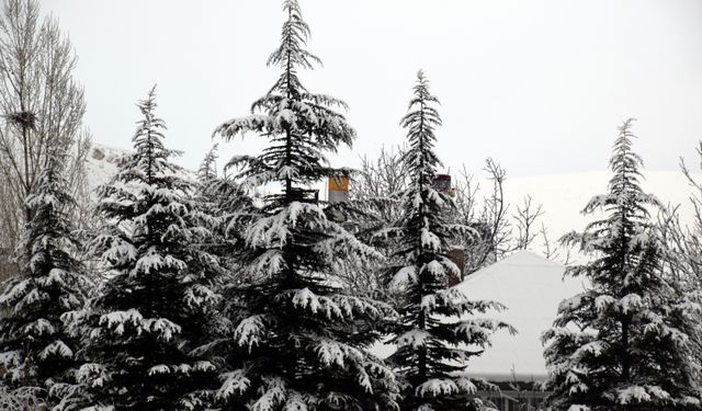 Erciş'te kar yağışı sürüyor