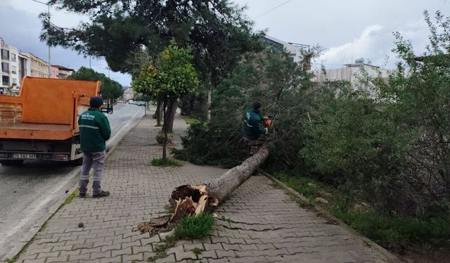 Kuşadası'nda fırtına ve sağanak